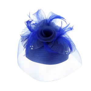 Royal Blue Feather Birdcage Pill Hat